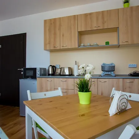 Апартаменты Iva - Iglika 2 *