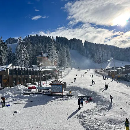 Iva - Iglika 2 * Μπόροβετς